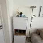 بيت للعطل House Matej فير